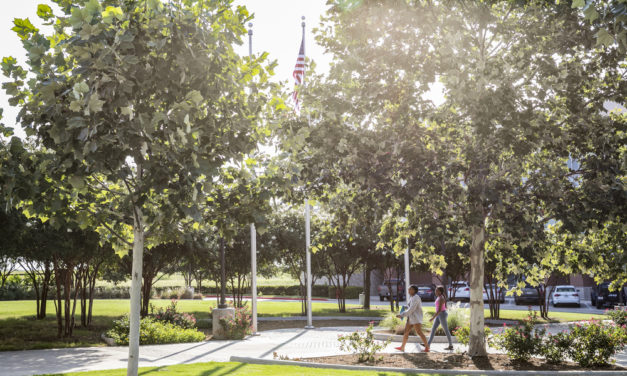 Holiday wellness webinars and classes