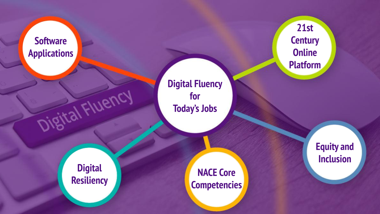 Qep Development In Progress Acc Facstaff Infohub