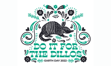 ‘Do it for the Dillos’: Order the winning 2022 Eco Bag art design