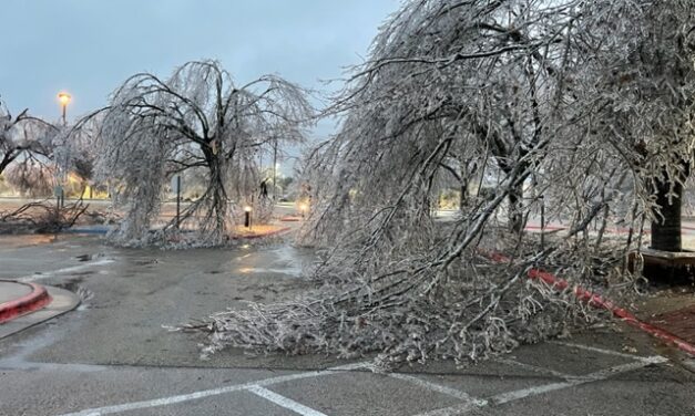 February ice storm closed campuses, caused little damage