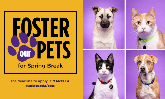 ACC’s Veterinary Technology program asks for spring break fosters