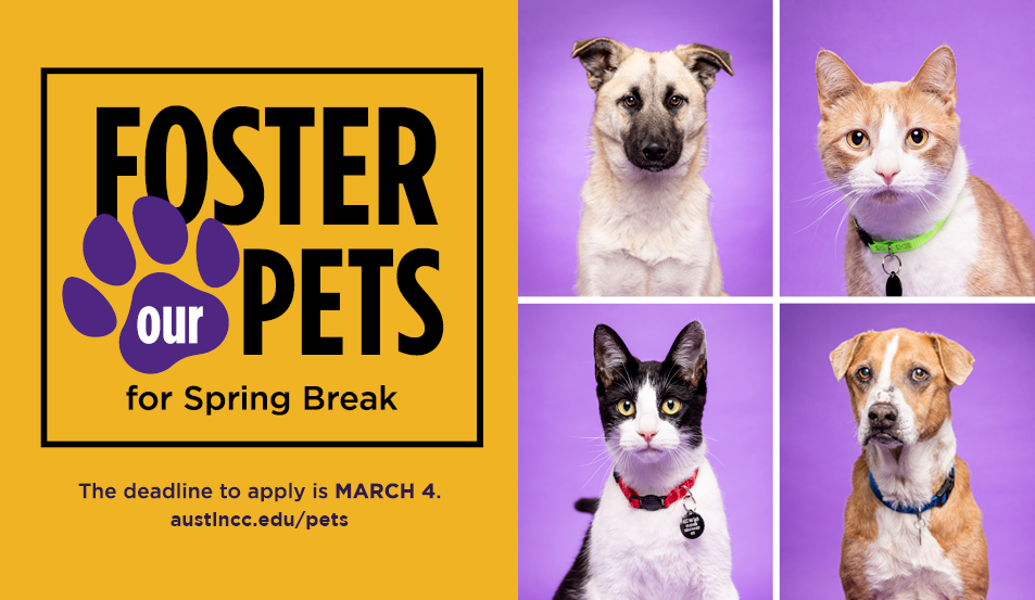 ACC’s Veterinary Technology program asks for spring break fosters