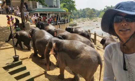 The Fulbright Scholar Experience: Lessons from Sri Lanka