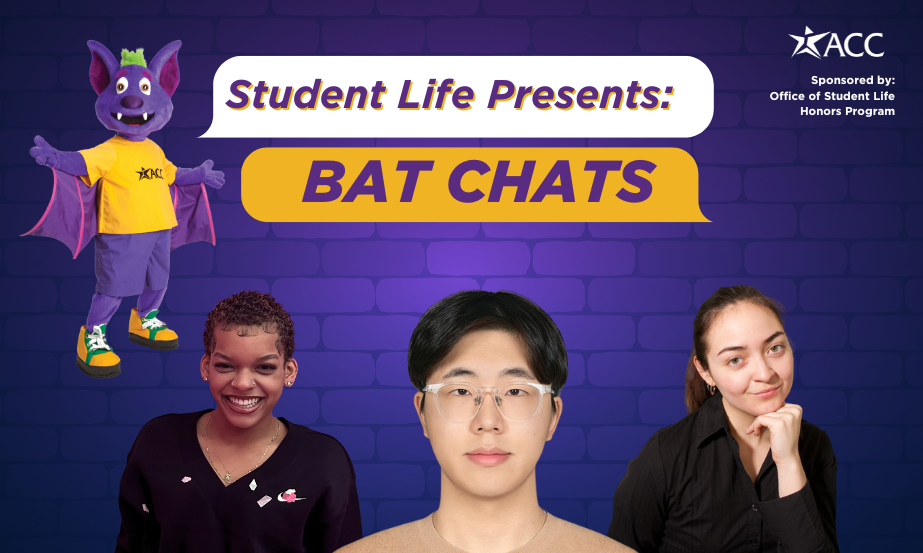 November Bat Chats | Connection, Happiness, and Creativity