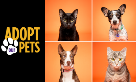 Find Your New Best Friend This Fall Through ACC’s Veterinary Technology Program